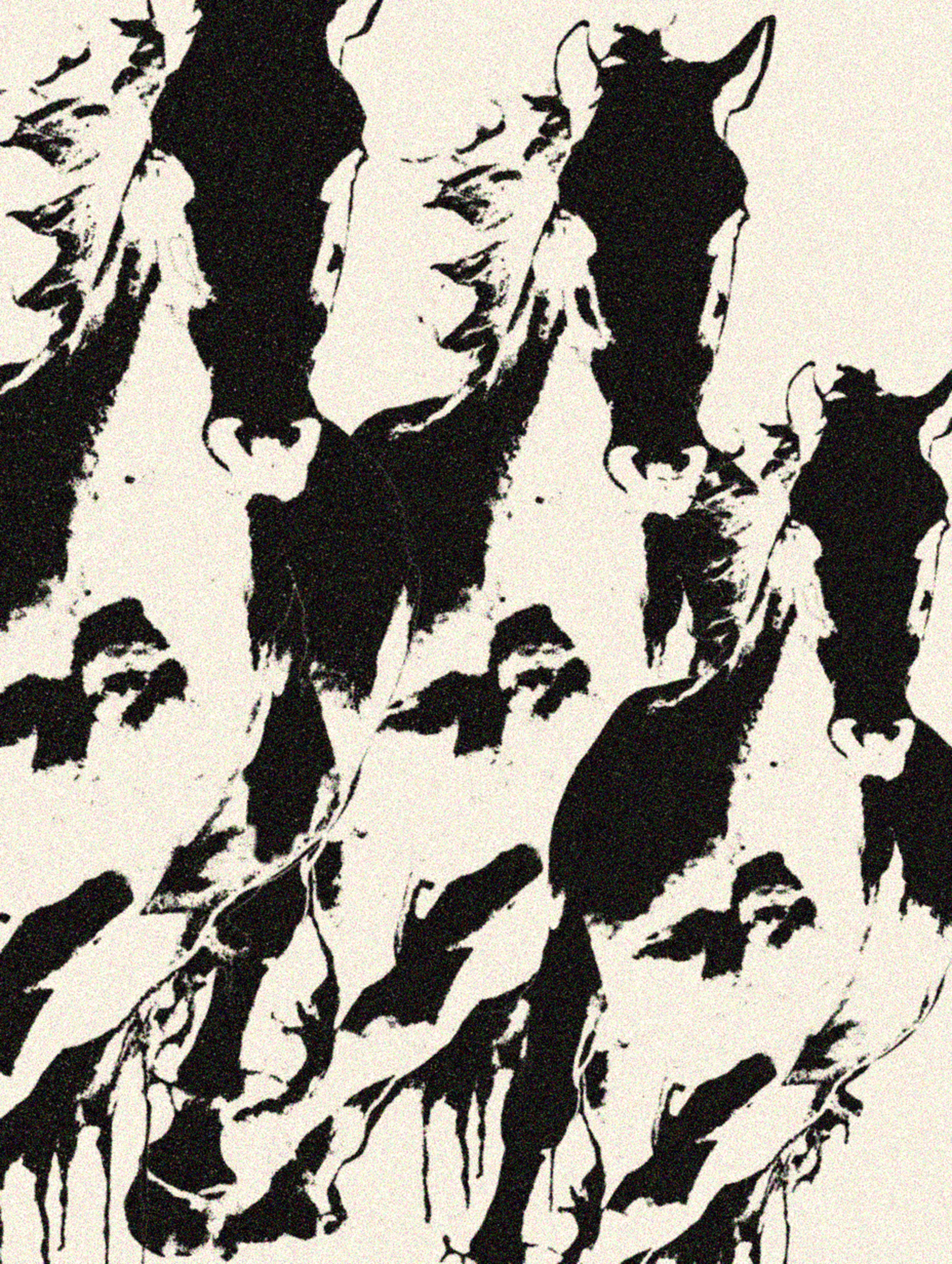 Horses